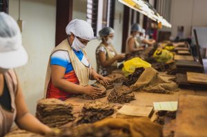 tobacco