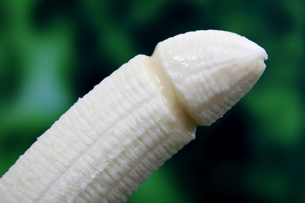 Penis